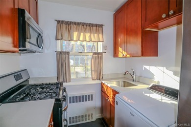 Sun-Drenched Corner Garden Unit On The First Floor. Step into - photo 9
