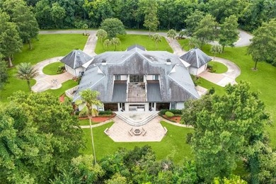 Located on 3.25 Acres , this estate is a unique celebration of - photo 29