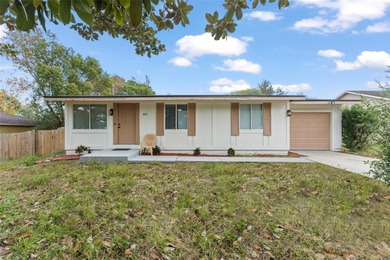 Louise Lake Home For Sale in Deltona Florida