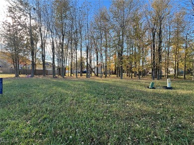 Lake Erie - Lorain County Lot For Sale in Lorain Ohio