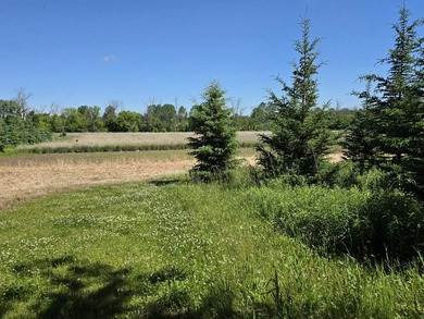 39+ acres Very private estate.Home, Land, 2 Ponds,creek & Shop - photo 7