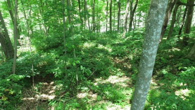 Lot on Beautiful Barren River Lake in Allen County, KY - photo 14