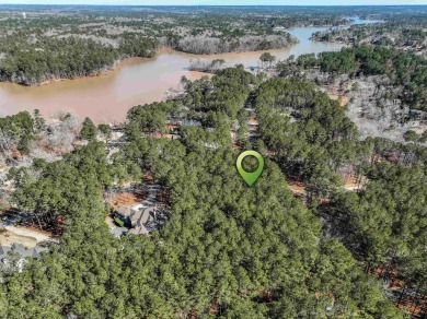 Lake Lot For Sale in Greensboro, Georgia