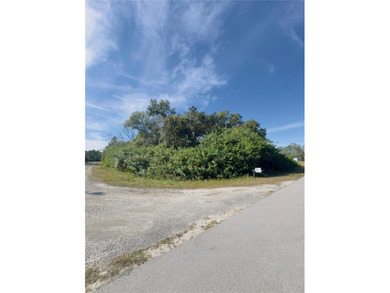 Lehigh Acres Area Lot For Sale in Lehigh Acres Florida