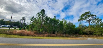 Lake Lot For Sale in Eustis, Florida