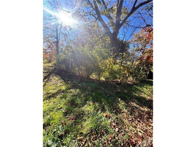 Springfield Lake Lot For Sale in Akron Ohio