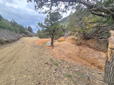 Property Summary - Acreage: 798 +/- deeded acres - Elevation: 5 - photo 11
