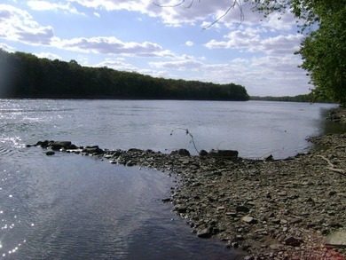 36+/- Acres on the Illinois River ideal for your own Riverfront - photo 2