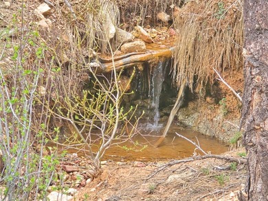 Property Summary - Acreage: 798 +/- deeded acres - Elevation: 5 - photo 12