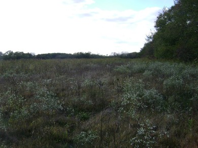 36+/- Acres on the Illinois River ideal for your own Riverfront - photo 3
