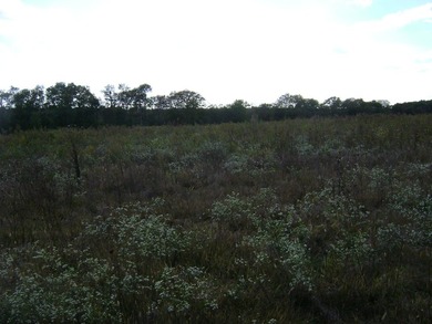 36+/- Acres on the Illinois River ideal for your own Riverfront - photo 4