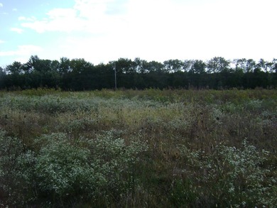 36+/- Acres on the Illinois River ideal for your own Riverfront - photo 5