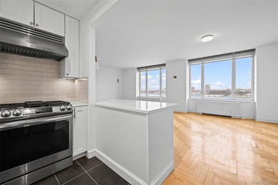 Welcome to Residence 19L at 220 Riverside Boulevard, a spacious - photo 15