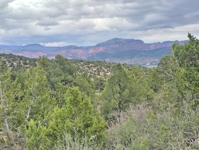 Property Summary - Acreage: 798 +/- deeded acres - Elevation: 5 - photo 20