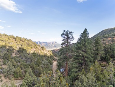 Property Summary - Acreage: 798 +/- deeded acres - Elevation: 5 - photo 23