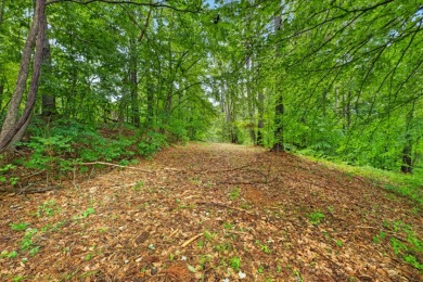 Peaceful Private Setting on 2.89 Acres - photo 33