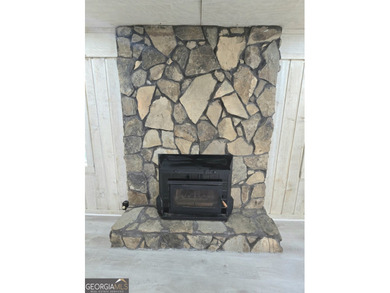 Stunning LAKEFRONT Retreat in Sought-After Lake Jodeco! Welcome - photo 6