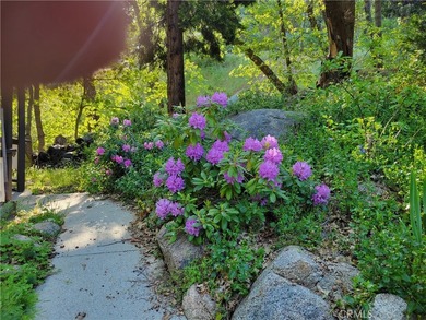 *Forested Oasis on 3 Private Acres*. Discover an extraordinary - photo 11