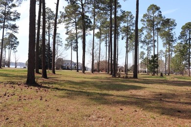 Wonderful Lake Views!!! PRIME LOT!!! Per Restrictive Covenants - photo 12