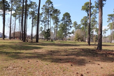 Wonderful Lake Views!!! PRIME LOT!!! Per Restrictive Covenants - photo 13