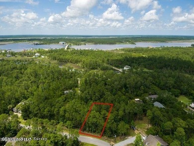 Good Building Lot Timber Ridge. Located in an AE Flood Zone - photo 1