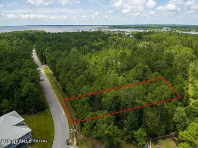 Good Building Lot Timber Ridge. Located in an AE Flood Zone - photo 6