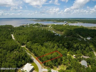 Good Building Lot Timber Ridge. Located in an AE Flood Zone - photo 9