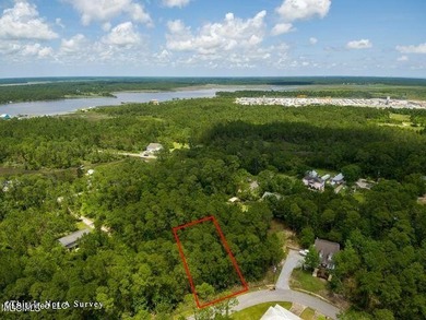 Good Building Lot Timber Ridge. Located in an AE Flood Zone - photo 10