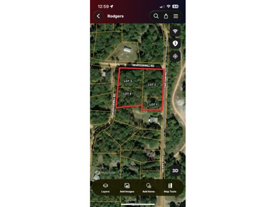 Enid Lake!! 4 lots approved for 4 houses/cabins. Has road - photo 3