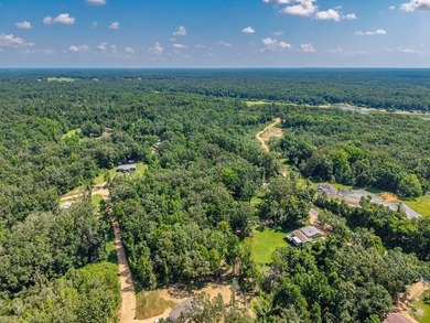 Enid Lake!! 4 lots approved for 4 houses/cabins. Has road - photo 7