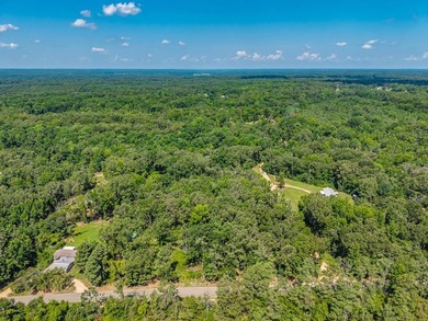 Enid Lake!! 4 lots approved for 4 houses/cabins. Has road - photo 9