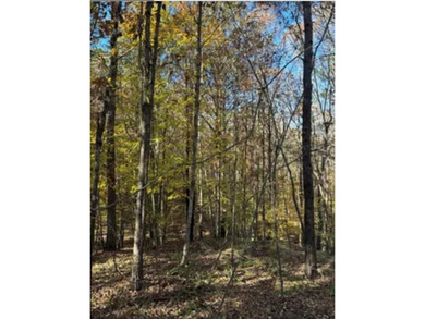 Beautiful Waterview lot in the Highlands subdivision. .88 acre - photo 1