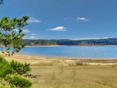 Sam Rayburn Lakefront Home - photo 29