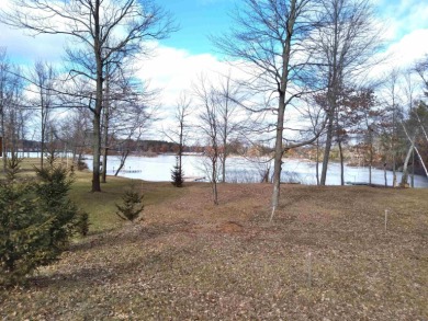 Nepco Lake Lot For Sale in Wisconsin Rapids Wisconsin