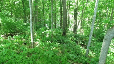 Lot on Beautiful Barren River Lake in Allen County, KY - photo 13