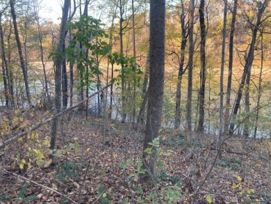 Lot on Beautiful Barren River Lake in Allen County, KY - photo 11