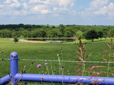 (private lake, pond, creek) Acreage For Sale in Coolidge Texas