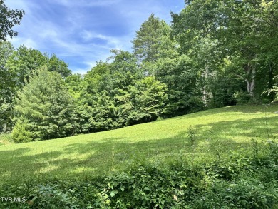 Watauga Lake Lot For Sale in Butler Tennessee