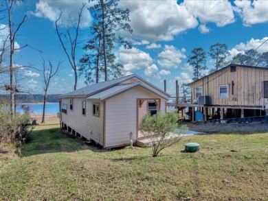 Sam Rayburn Lakefront Home - photo 6