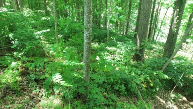 Lot on Beautiful Barren River Lake in Allen County, KY - photo 12