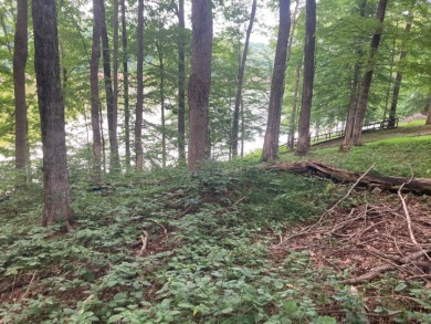 Lot on Beautiful Barren River Lake in Allen County, KY - photo 4