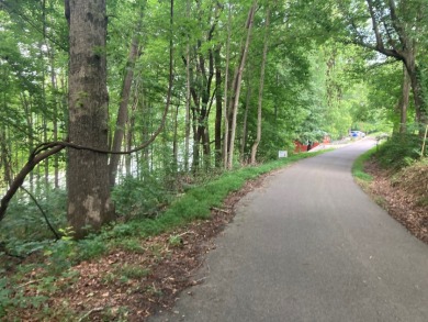 Lot on Beautiful Barren River Lake in Allen County, KY - photo 7
