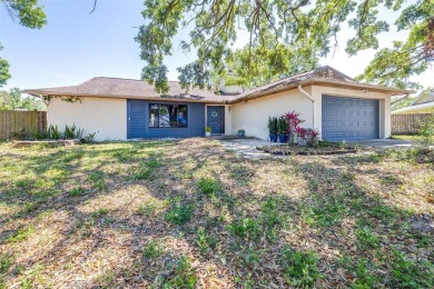 Lake Home Sale Pending in Tampa, Florida