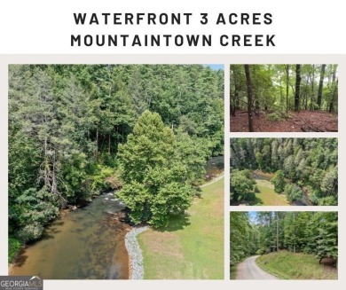 Lake Acreage For Sale in Ellijay, Georgia