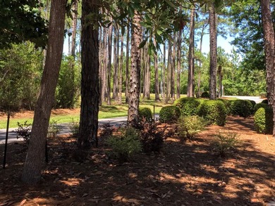 57 Acre Lot NOW AVAILABLE! Live your best bayside lifestyle in - photo 18