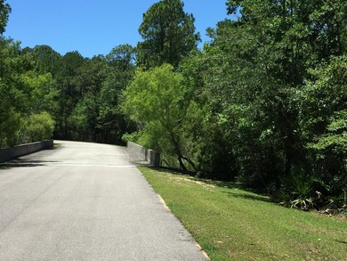 57 Acre Lot NOW AVAILABLE! Live your best bayside lifestyle in - photo 19
