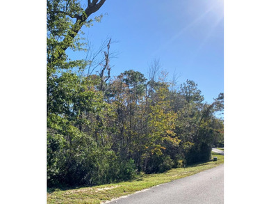 57 Acre Lot NOW AVAILABLE! Live your best bayside lifestyle in - photo 20