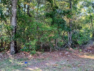 57 Acre Lot NOW AVAILABLE! Live your best bayside lifestyle in - photo 21