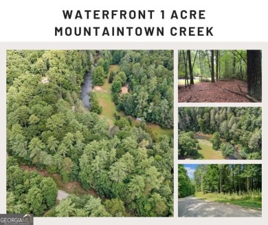 Lake Lot For Sale in Ellijay, Georgia