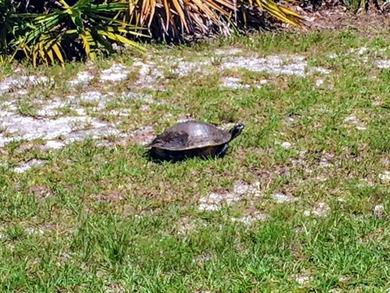 57 Acre Lot NOW AVAILABLE! Live your best bayside lifestyle in - photo 25